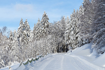 Fototapeta premium pistes de ski de fond,