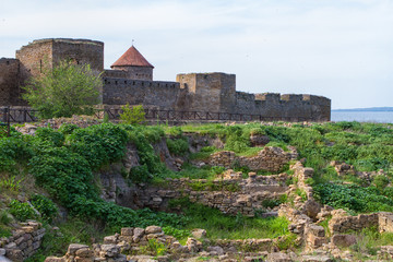 Citadel on the Dniester estuary