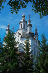 church framed with trees