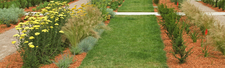allée de gazon et massif de graminées et d'achillées © hcast