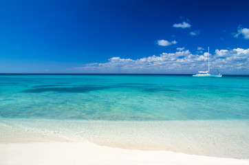 Obraz premium tropical sea