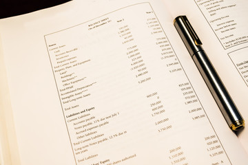 Standard Balance Sheet With Pen