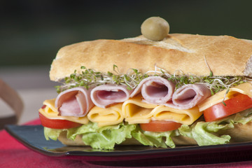 Sub Sandwich
