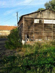 Old house whit cat