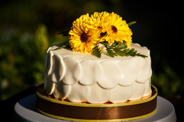 white creamy delicious cake