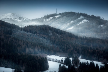 landscape of high mountains covered with snowy forest at evening