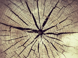 Grunge wood texture
