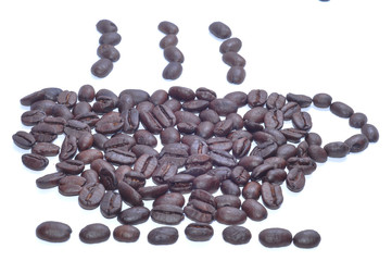 Coffee bean on white background