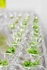 Many glasses with salad leaves