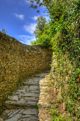 Fototapeta na wymiar Footpath in Cinque Terre National Park