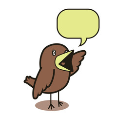 Talking bird 01