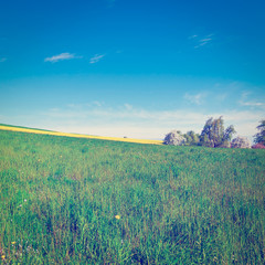 Meadows in Switzerland