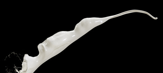 flying splashing milk isolated on black background