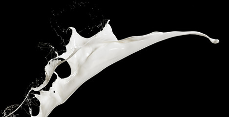 flying splashing milk isolated on black background