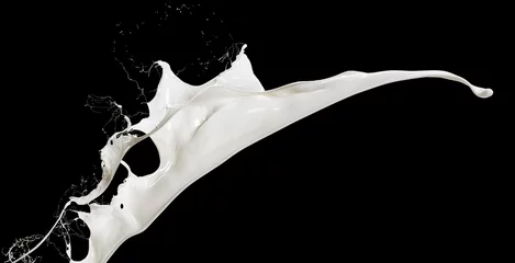 Foto auf Acrylglas Milchshake fliegende spritzende Milch auf schwarzem Hintergrund isoliert