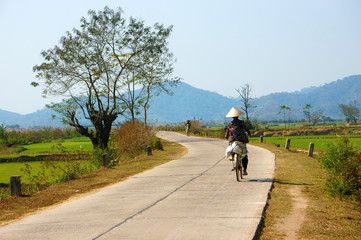Naklejka premium Vietnamese woman riding bicycle