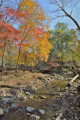Autumn woodsy river 16