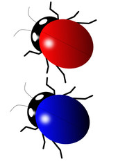 Blue and red beetle