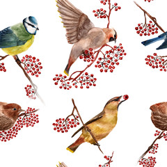 Seamless pattern with birds. Watercolor illustration.