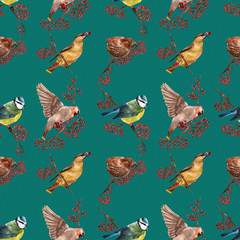 Seamless pattern with birds. Watercolor illustration.