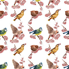 Seamless pattern with birds. Watercolor illustration.