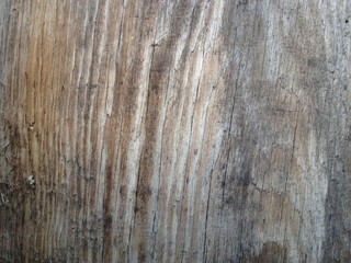 Grunge wood texture