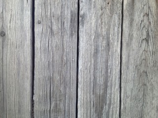 Grunge wood texture