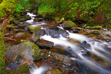 Creek of Clare Glens in Co. Limerick, Ireland