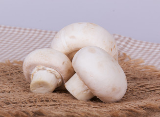Three mushroom