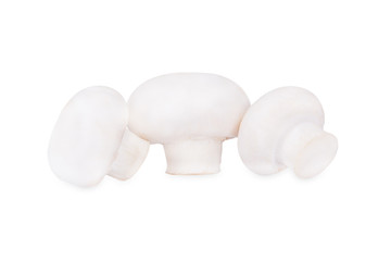 Three mushrooms