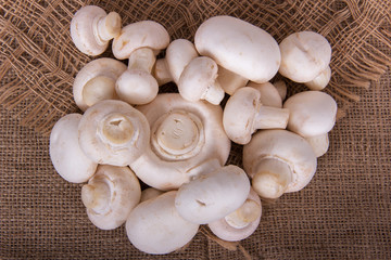 Mushrooms