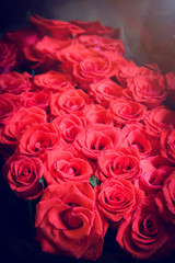Bouquet of roses