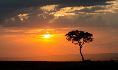 Fototapeta na wymiar Sunset over Masai Mara National Reserve, Kenya, Africa