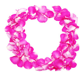 Fototapeta na wymiar Frame from petals of pink roses