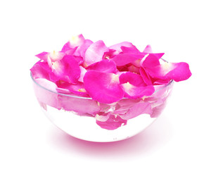 Petals of pink roses in glass bowl with water