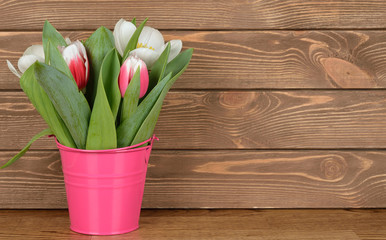 Tulips in pink bucket