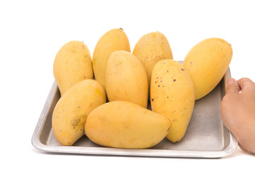 Mango in hand on White Isolated background