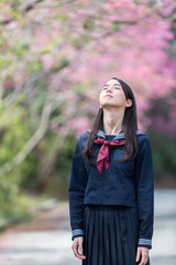 桜 コピースペースと女子学生