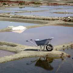 Marais salants: brouette.