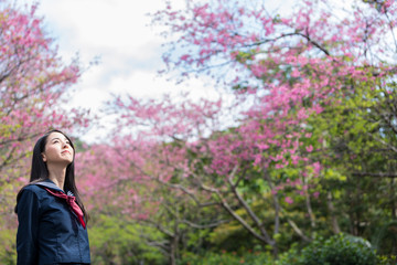 桜 コピースペースと女子学生