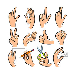 Vector illustration of hands.