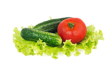 Lettuce, tomato and two cucumbers lying on the plate