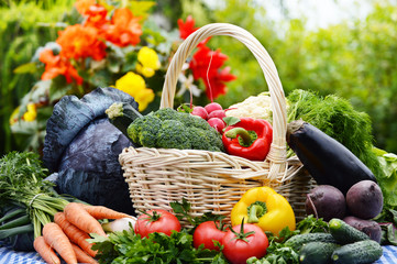 Assorted vegetables in wicker basket in the garden - obrazy, fototapety, plakaty
