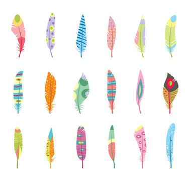 Vector Set of Stylized or Abstract Feathers and Feather