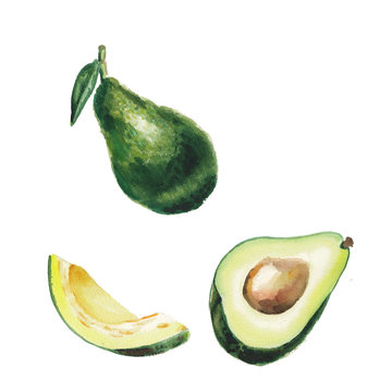 watercolor avocado set