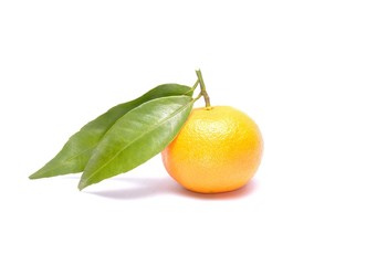 Fototapeta na wymiar Mandarin or Tangerine fruit on white background