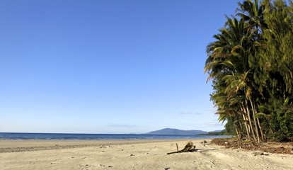 Daintree National Park, Queensland, Australia