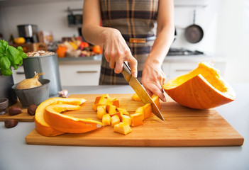 Closeup on young housewife cutting pumpkin - obrazy, fototapety, plakaty