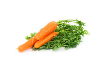 carrots on white background