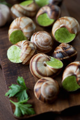 Close-up of bourgogne snails with garlic butter, selective focus
